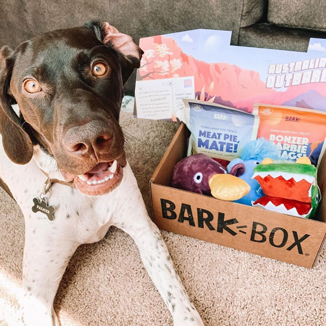 Hud with the Australian Outbark Collection