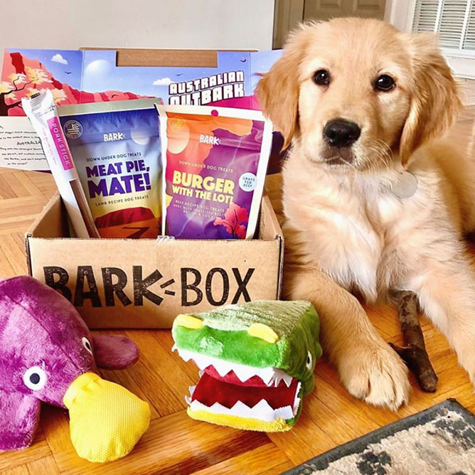 Samwise with the Australian Outbark Collection