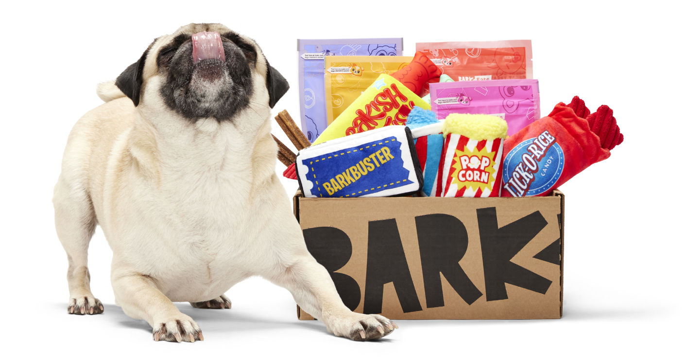 Pug dog with toys